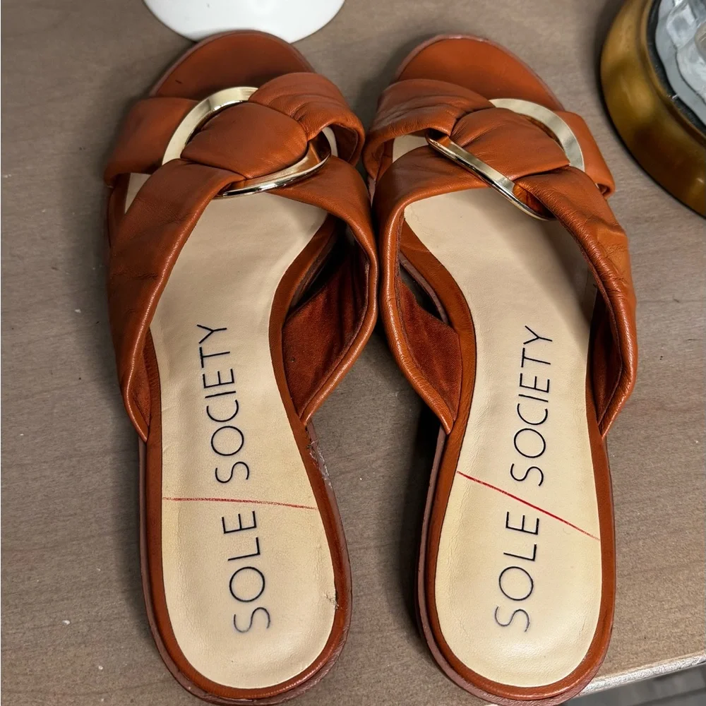 Sole Society Women's Brown Slide Sandals